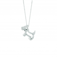 Picture of Diamond dog necklace