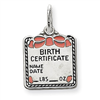 Sterling Silver Pink Birth Certificate Charm