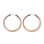 Picture of Stainless Steel Chocolate-plated 34mm Hoop Earrings